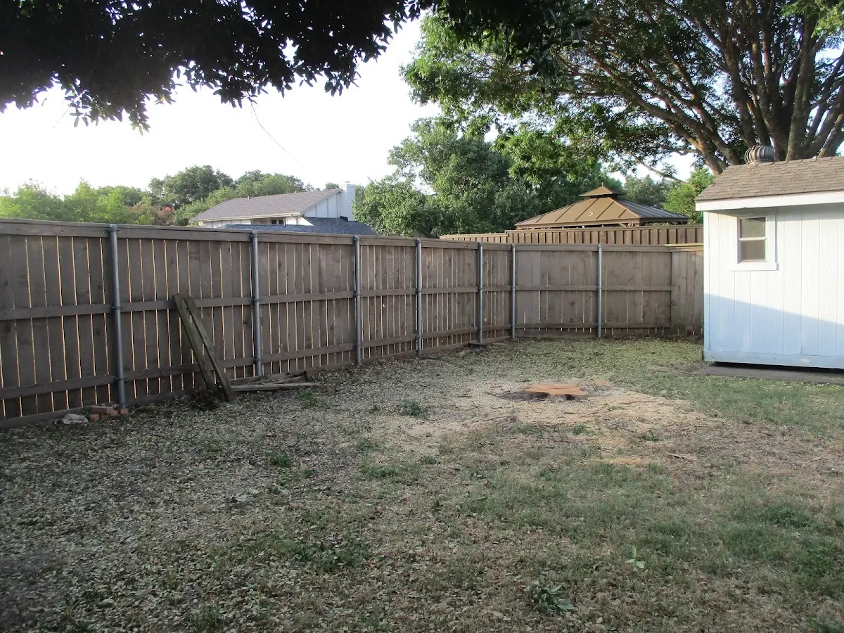 Cleared yard after professional tree removal in Hubbardsville
